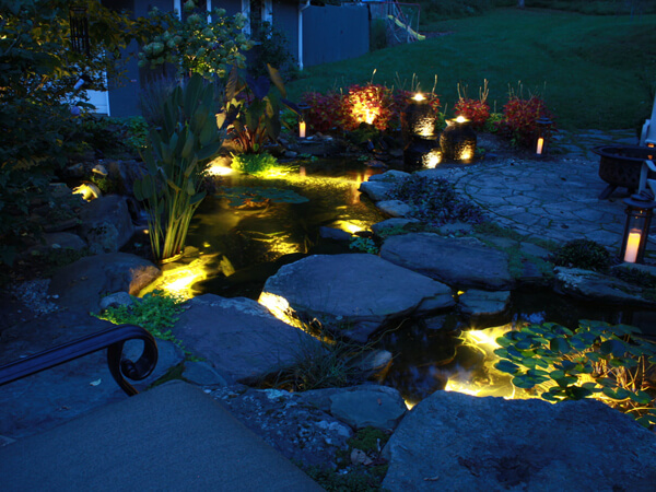 solar pond light